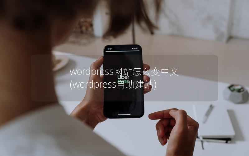 WordPress网站怎么变中文，WordPress自助建站