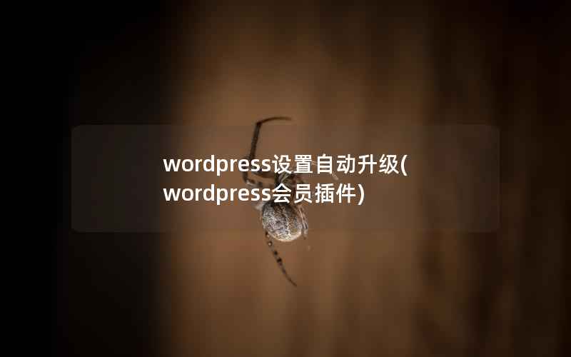 WordPress设置自动升级，WordPress会员插件