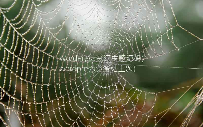WordPress资源主题源码，wordpress资源站主题