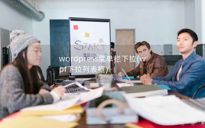 wordpress菜单栏下拉，wpf下拉列表框