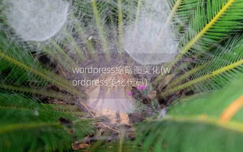 wordpress缩略图美化，wordpress美化代码