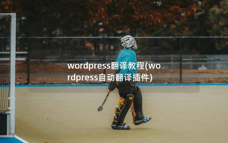 WordPress翻译教程，WordPress自动翻译插件