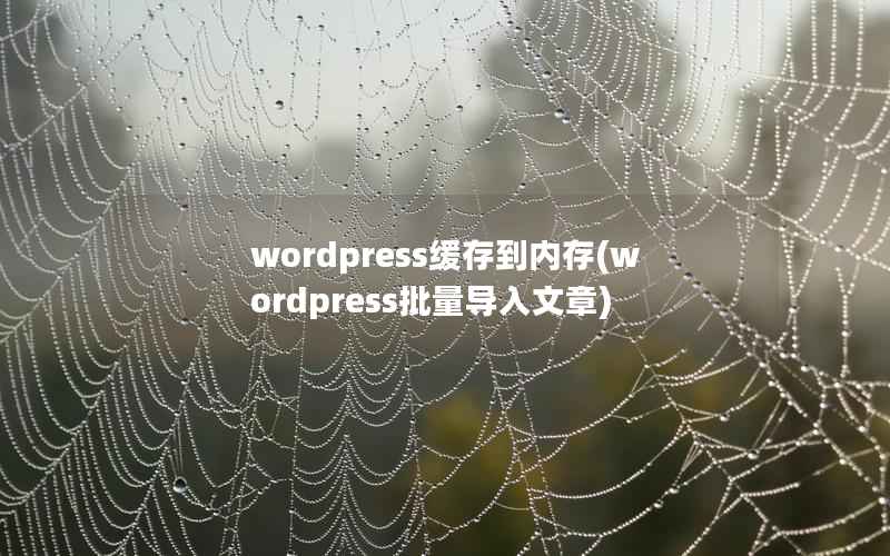 wordpress缓存到内存,wordpress批量导入文章 wordpress缓存到内存,wordpress批量导入文章