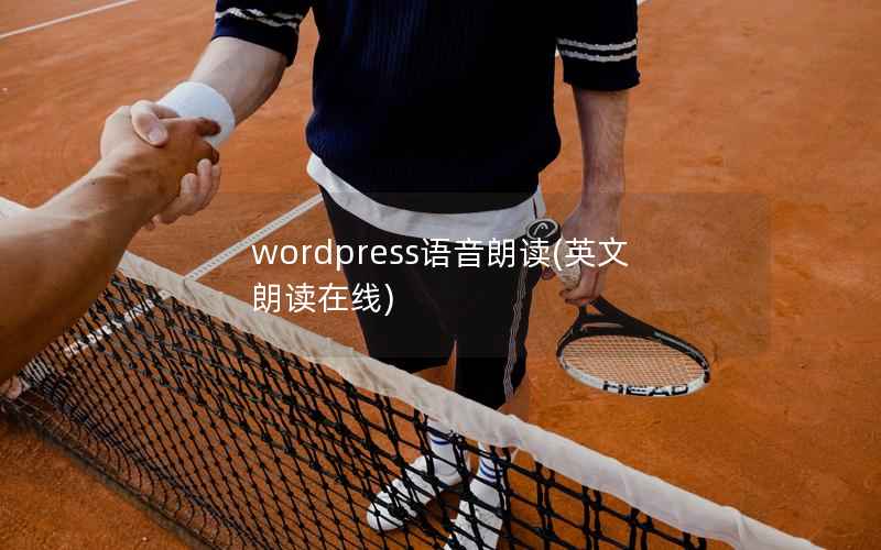 WordPress语音朗读，英文朗读在线