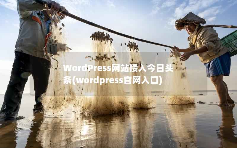 WordPress网站接入今日头条，wordpress官网入口