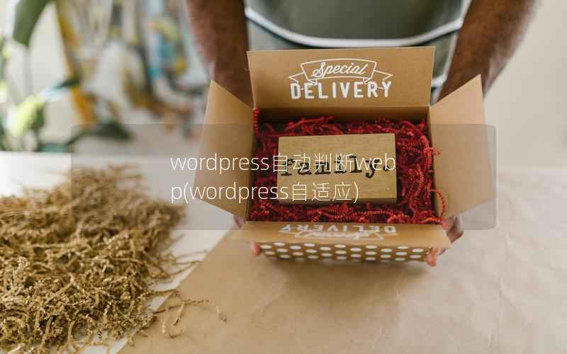 wordpress自动判断webp，wordpress自适应