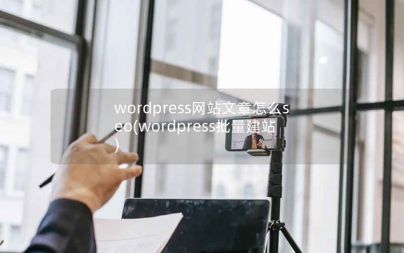 wordpress网站文章怎么seo，wordpress批量建站