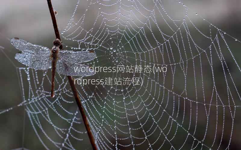 wordpress网站静态，wordpress建站流程