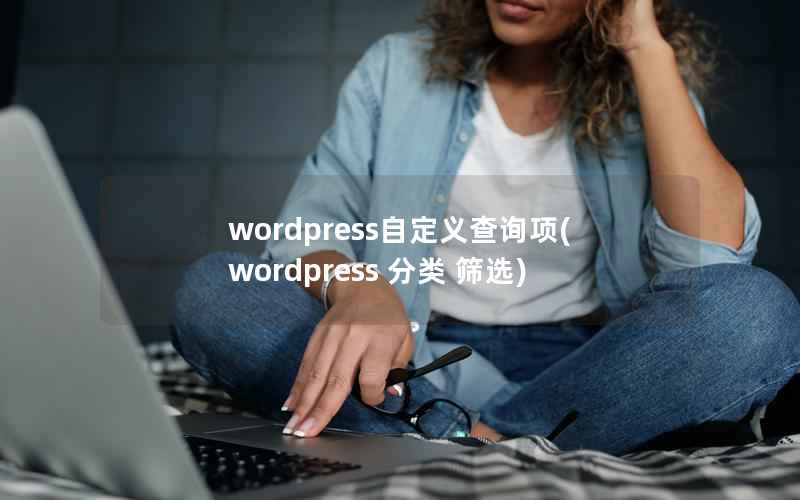 wordpress自定义查询项，wordpress 分类 筛选