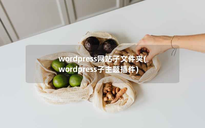 wordpress网站子文件夹，wordpress子主题插件