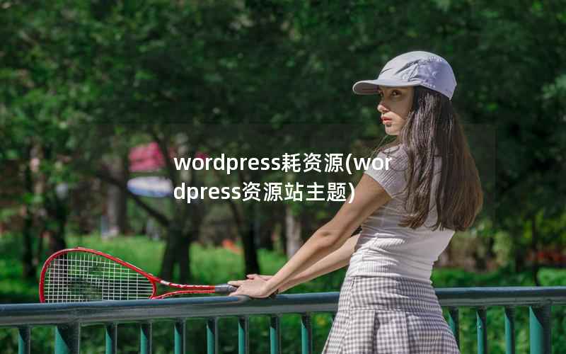 wordpress耗资源，wordpress资源站主题