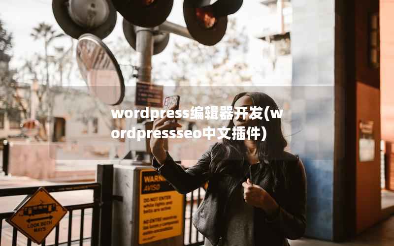 WordPress编辑器开发，WordPressseo中文插件