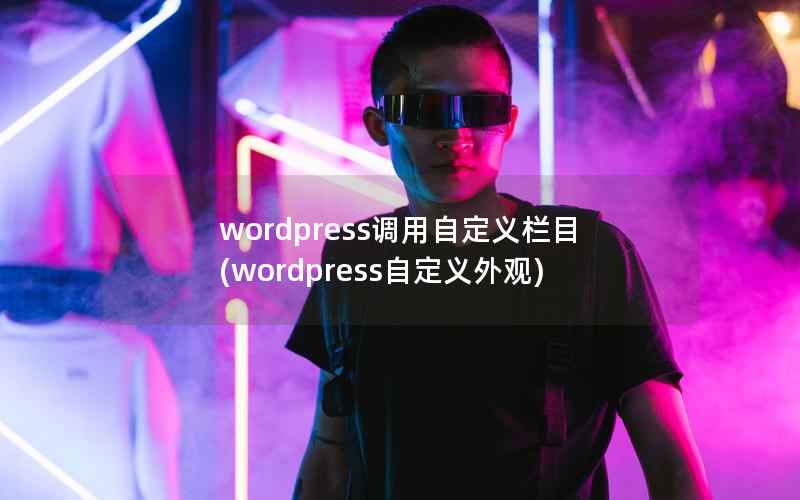 wordpress调用自定义栏目，wordpress自定义外观