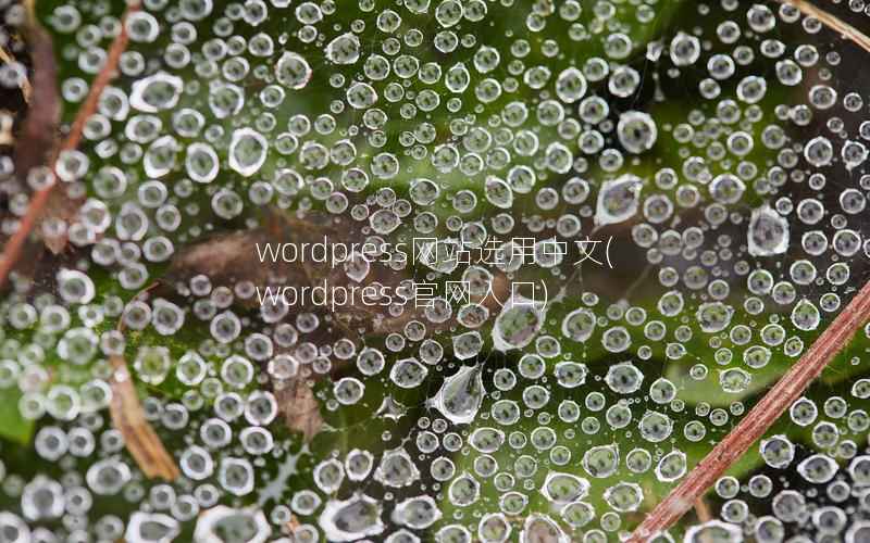 WordPress网站选用中文，WordPress官网入口