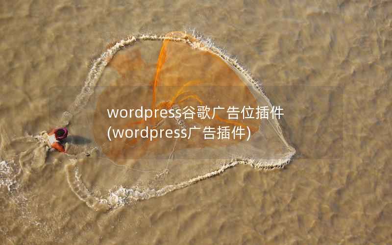 wordpress谷歌广告位插件，wordpress广告插件