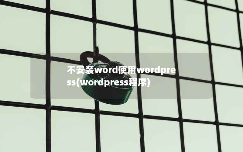 不安装word使用wordpress，wordpress程序