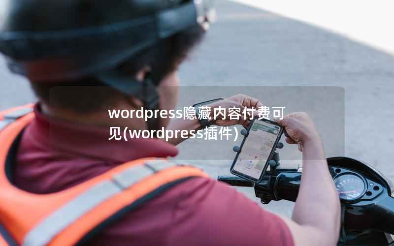 wordpress隐藏内容付费可见，wordpress插件