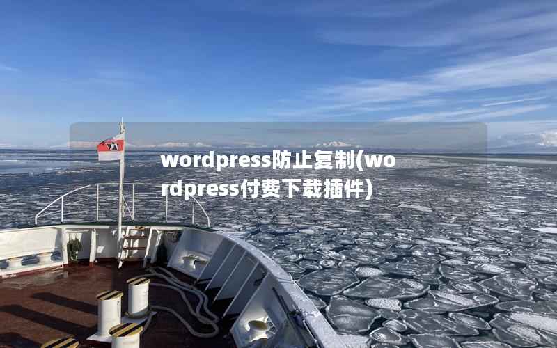 WordPress防止复制，WordPress付费下载插件