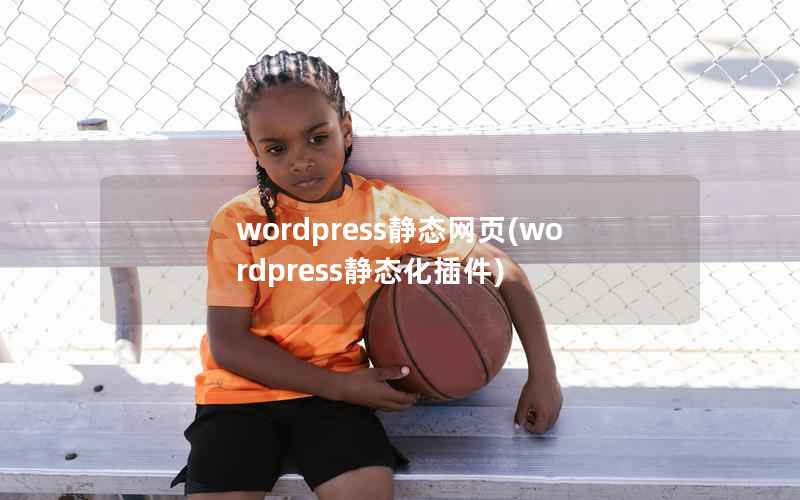 wordpress静态网页，wordpress静态化插件