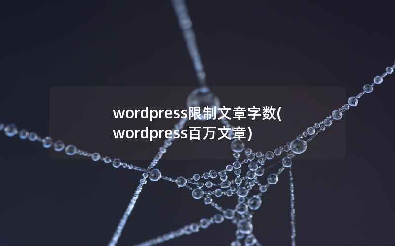 WordPress限制文章字数，WordPress百万文章