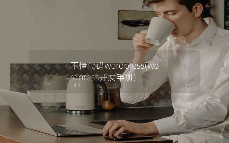 不懂代码WordPress，WordPress开发手册