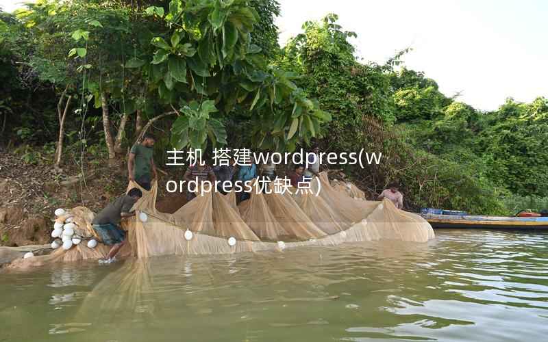 主机 搭建WordPress，WordPress优缺点