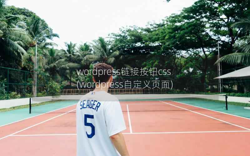 WordPress链接按钮css，WordPress自定义页面