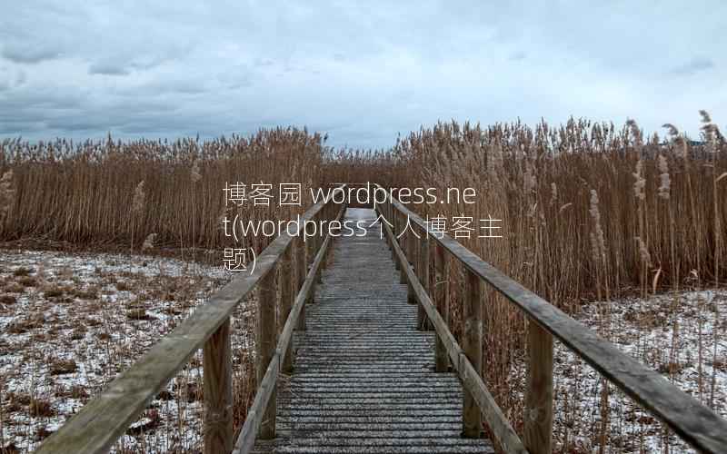 博客园 WordPress.net，WordPress个人博客主题