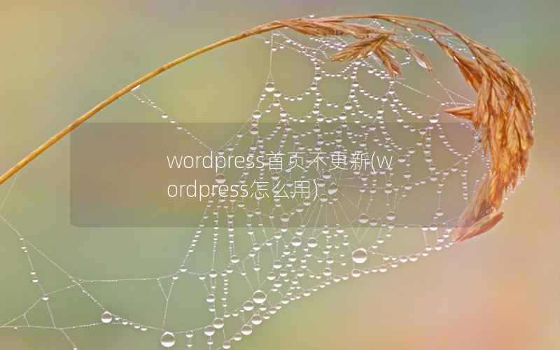 wordpress首页不更新，wordpress怎么用