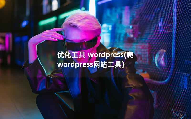 优化工具 WordPress，爬WordPress网站工具