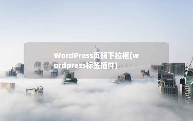 WordPress页码下拉框，WordPress标签插件