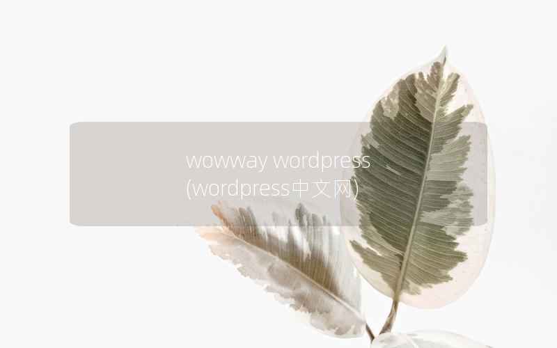 wowway WordPress，WordPress中文网