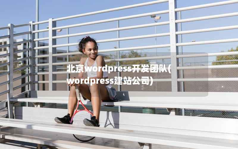 北京WordPress开发团队，WordPress建站公司