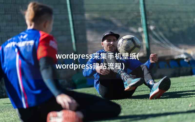 WordPress采集手机壁纸，WordPress建站流程