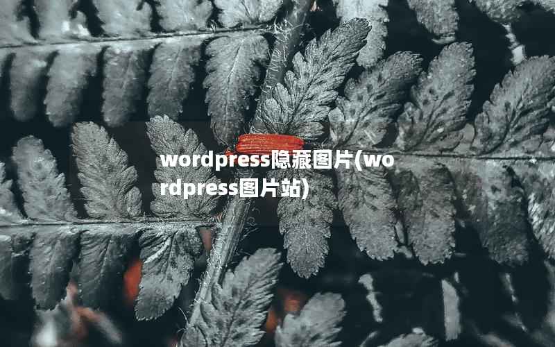 wordpress隐藏图片，wordpress图片站