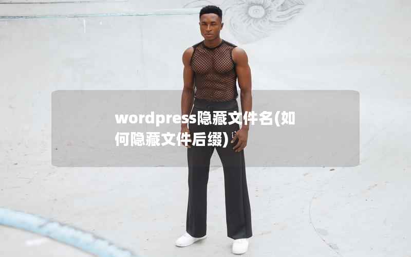 WordPress隐藏文件名，如何隐藏文件后缀