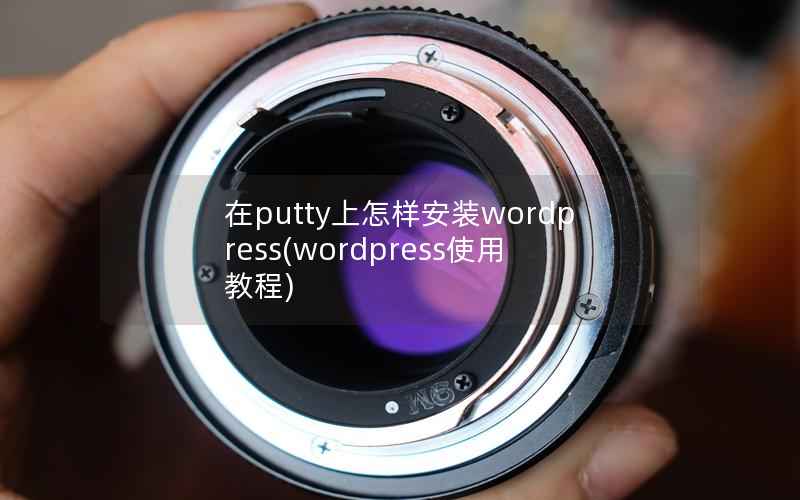 在putty上怎样安装wordpress，wordpress使用教程