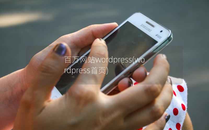 百万网站WordPress，WordPress首页