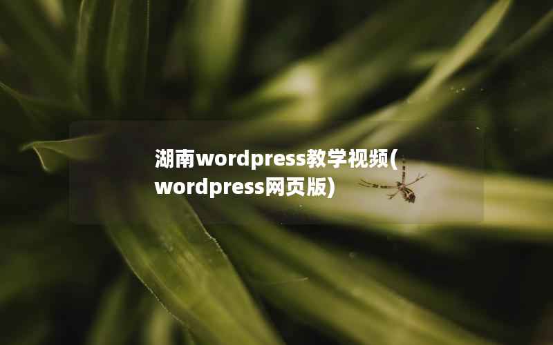 湖南WordPress教学视频，WordPress网页版