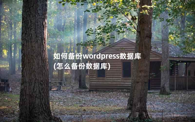 如何备份wordpress数据库，怎么备份数据库