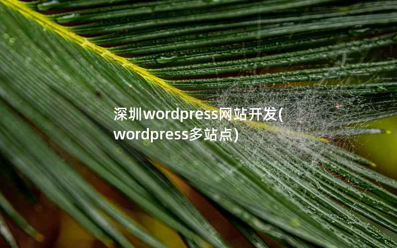 深圳wordpress网站开发，wordpress多站点