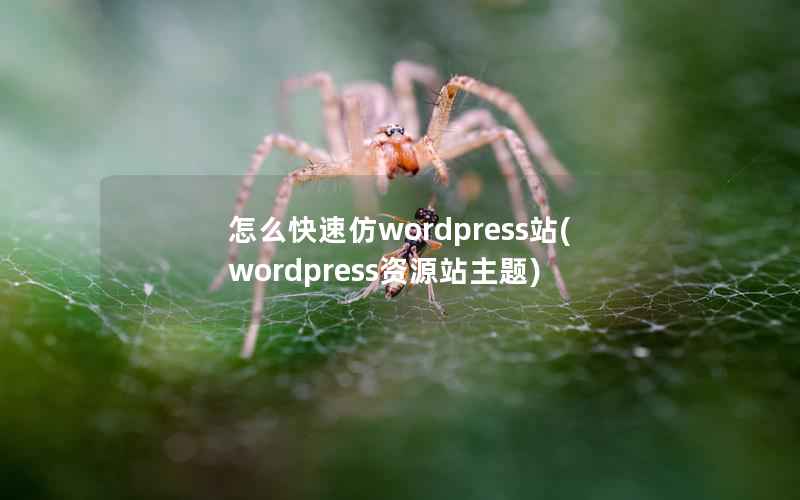 怎么快速仿WordPress站，WordPress资源站主题