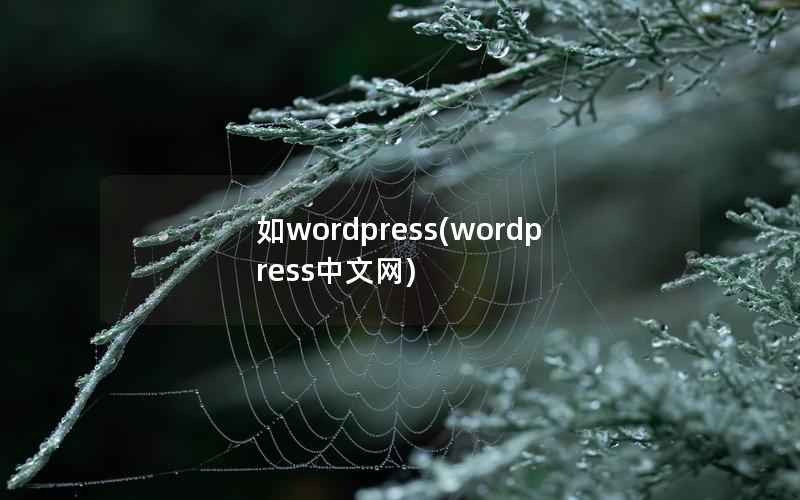 如WordPress，WordPress中文网
