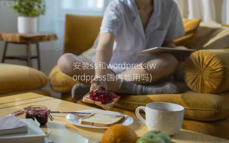 安装ss和wordpress，wordpress国内能用吗