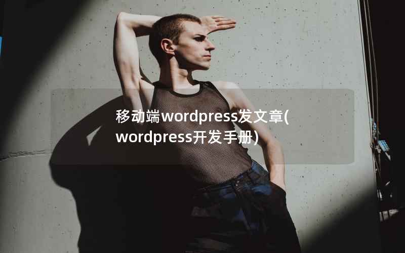 移动端WordPress发文章，WordPress开发手册