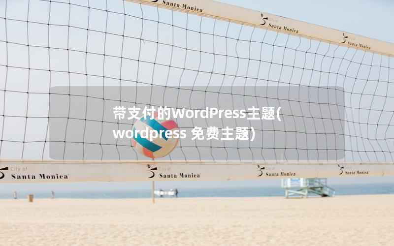 带支付的WordPress主题，WordPress 免费主题