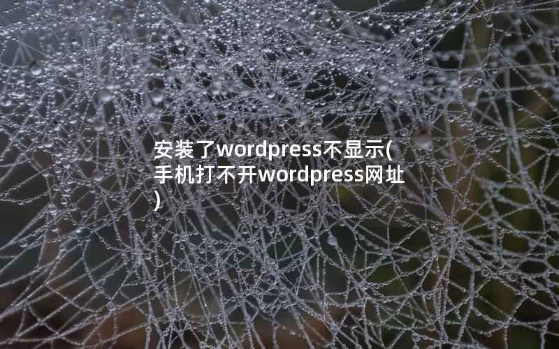 安装了WordPress不显示，手机打不开WordPress网址