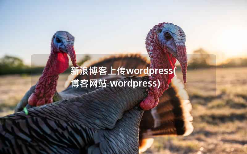 新浪博客上传wordpress，博客网站 wordpress