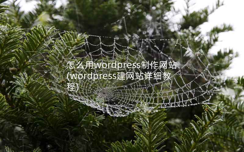 怎么用wordpress制作网站，wordpress建网站详细教程