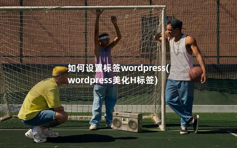 如何设置标签wordpress,wordpress美化H标签 如何设置标签wordpress,wordpress美化H标签